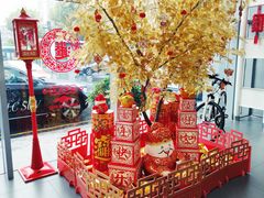 -上海德星奔驰(江杨南路店)