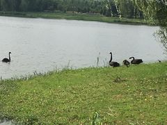 -江南大学(蠡湖校区)