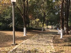-尚贤河湿地