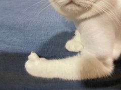 -永和大王(春日上新·浦东南路店)