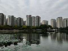 -新江湾城公园