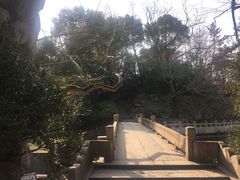 -汇龙潭