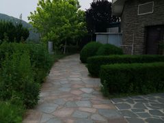 -棒棰岛宾馆景区