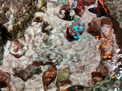 -沈阳海洋探索中心