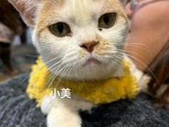 -小时光咖啡馆(北锣鼓巷店)