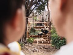 -灵玲国际马戏城