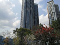 -广州中医药大学深圳医院(福田)