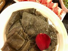 -蜀九香火锅(彩虹店)