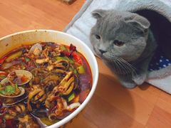 -降龙爪爪(建设路1店)