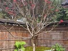 -新荣记(西溪湿地店)