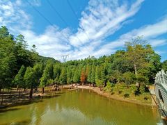 -广州市帽峰山景区