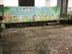 -东山雕花楼