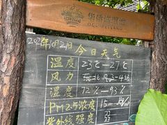 -华侨城湿地公园
