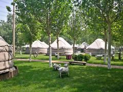 -九十九顶毡房(阜石路店)