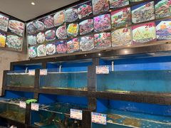 -华盛丰温州大排档(东三环南路店)