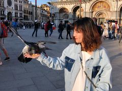 -圣马尔谷圣殿宗主教座堂