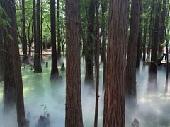 -东湖落雁景区