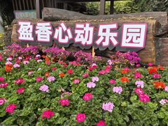 -盈香心动乐园