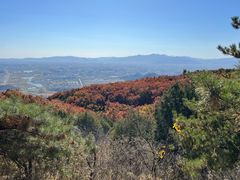 -北京十三陵国家森林公园蟒山景区