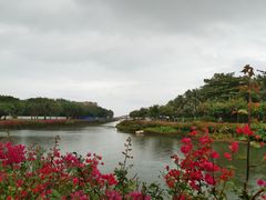 -万绿园