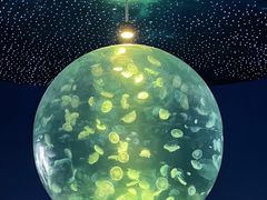 -江和美海洋公园