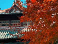 -长沙市青少年宫