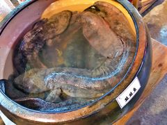 -印象鲵宴·张家界地标美食名片(溪布街店)