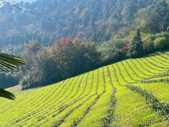 -敬亭山风景名胜区