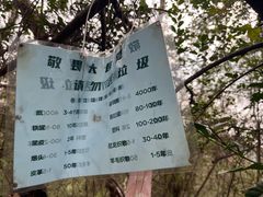 -青龙山国家森林公园