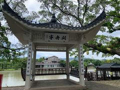 -江心屿景区