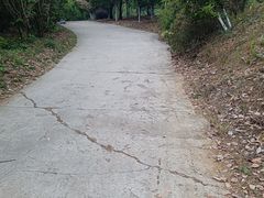 -秀丽东方