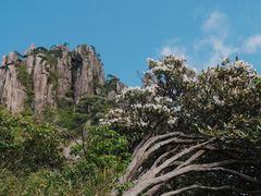 -三清山风景名胜区