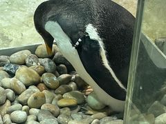 -大连圣亚海洋世界