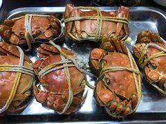 -乡乐园蟹庄·阳澄湖农家乐