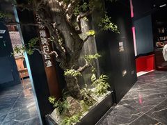 -苏淮景·苏闽融创菜·海鲜(原空港井河轩店)