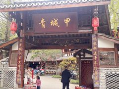 -青城甲(青城山店)