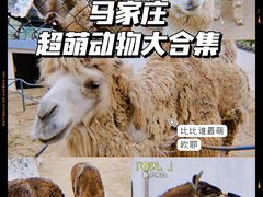 -马家庄动物园