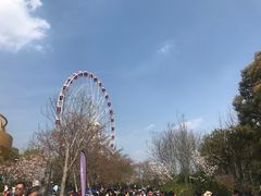 -自然谷恐龙园
