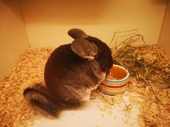 -龙猫仔乐园(惠福东路店)