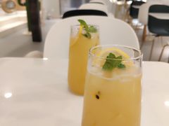 -飞行喵MR PILOT|猫舍·猫咖(静安大融城店)