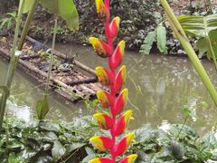 -中国科学院西双版纳热带植物园