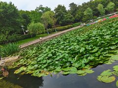 -南京珍珠泉风景区
