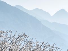 -广州市流溪河国家森林公园