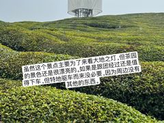 -景德镇站
