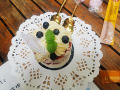 -喵屿·大理花园猫咖