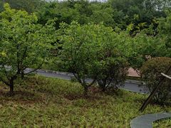 -石家庄市动物园