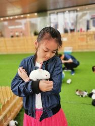 -萌宠亲子动物乐园(槐房万达店)