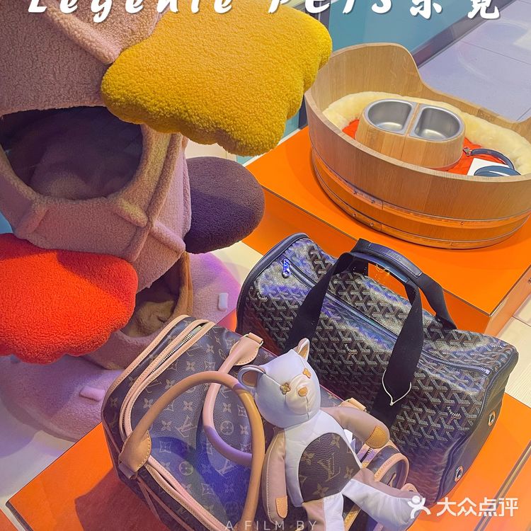 快来带走你的小可爱‼️宠物店中的爱马仕