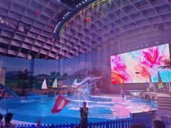 -海合安武汉极地海洋公园