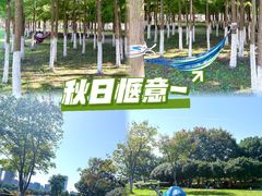 -滨湖塘西河公园